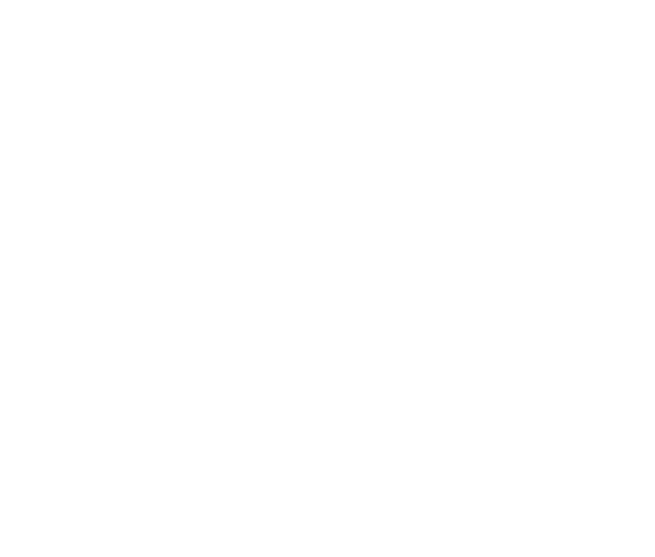 NIM GLOBAL LTD